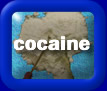 Click here for cocaine tests