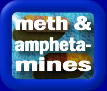 Click here for meth & amphetamine tests