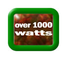 Click here to see inverters over 1000 watts